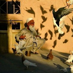 Maram krn