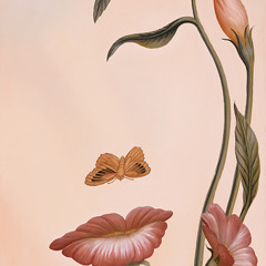sandra214