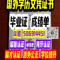 毕业证成绩单学历文凭认证留信认证WSE认证留才认证海牙认证offer