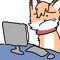 Watch Fox