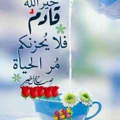 Mohamed Elfert
