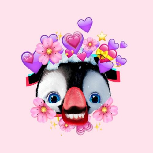 TIK TOK Mashup June 2020