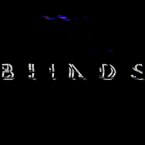 BIINDS’s avatar