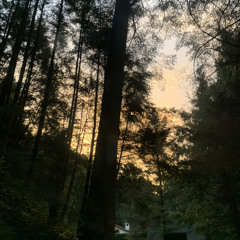 ☁︎︎𝔸𝕎𝕊𝕆𝕄 𝕊𝕆𝕌ℕ𝔻𝕊♪