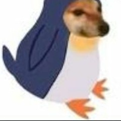 Quân Bùi Lê