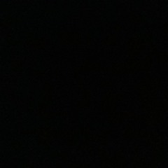 nigger