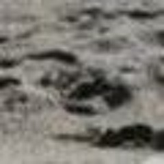 2807251752.mp3