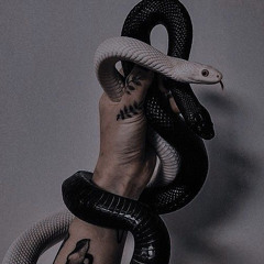 👾kxndolx🐍