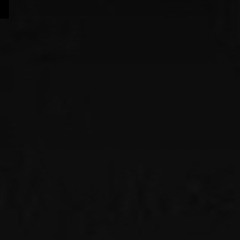 الدانه