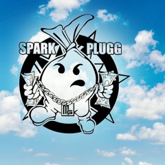 SparkPlugg Ent.