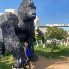 محمد ابراهيم