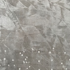 PLASTRE / Paulie Jan / Nicolas Birot