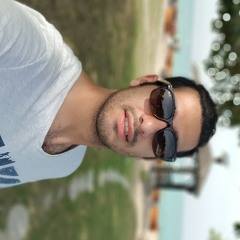 Sina nasirzadeh