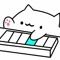 Bongo