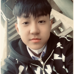 Ng Dinh Triet