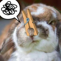 принц башкортостана