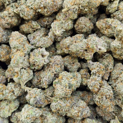 Everything / EveryMan Must Search his Own Soul!!