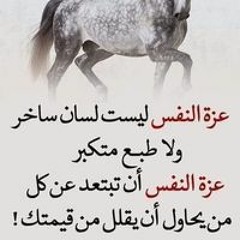 محمود الملاح ابو عبدالله