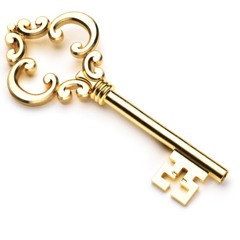 Key Collector Protector