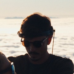 Dann Gallo