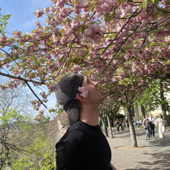 shin_z