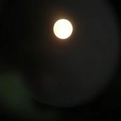 하성