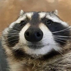 :?@