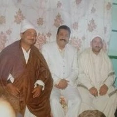Hassan Elsayed