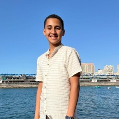 Mina Medhat