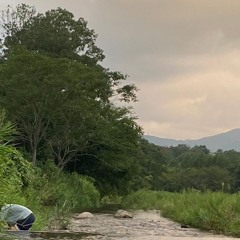 POTOMO
