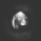 Nicolas.brln