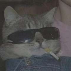 Gia_Cát_Fat