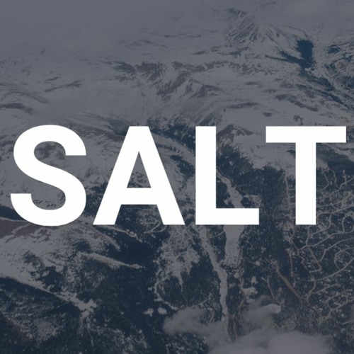 SALT’s avatar