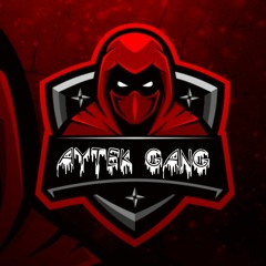 Aytek Mad Sick Sound