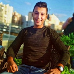 Abdelhady Samy El Medrisy