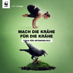 WWF Yoga für Artenvielfalt