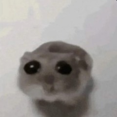 Ng Ngọc Thông.