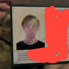 кайдов
