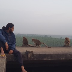Junglephillic
