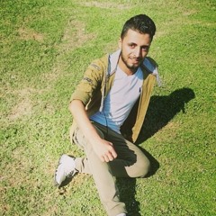 محمود الحلواتى