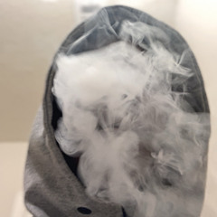 cashhoutmar_