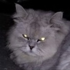 쵱