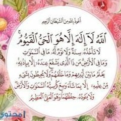 نادر المحمدي