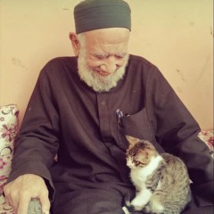 محمود زهران