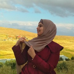 aseel hamedah
