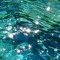 Aqua