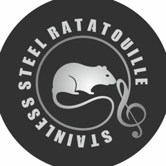 Stainless Steel Ratatouille