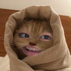 ㅎㅈ