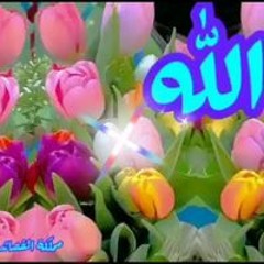 Tamer Mahmoud