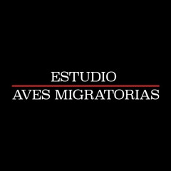 Estudio Aves Migratorias